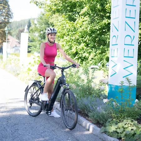 Werzers Poertschach מלון Pörtschach am Wörthersee